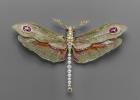 09. Dragonfly Pendant Brooch*
